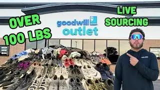 Sourcing 100 items to Flip On Ebay At the Goodwill Bins