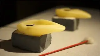 ASMR　耳かき　Ear Cleaning