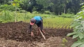 REVIVE YOUR LAND FAST! SIMPLE HAND TOOLS EVERY FARMER SHOULD USE -Agriculture Farming