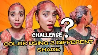 Hair Color Using 2 Different  Shade Challenge😱#challenge #funnychallenge #missgarg #haircolor #funny