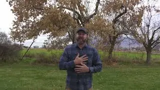 Cyber Monday 2025 Doorbusters - LAPG Core Flannel
