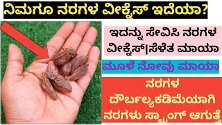 ನಿಮಗೂ ನರಗಳು ವೀಕ್ ಆಗಿವೆಯಾ? ಇದನ್ನು ಕುಡಿದರೆ ನರಗಳ ದೌರ್ಬಲ್ಯ, ಸೆಳೆತ ಮಾಯಾವಾಗಿ ನರಗಳು ಸ್ಟ್ರಾಂಗ್ ಆಗುತ್ತವೆ