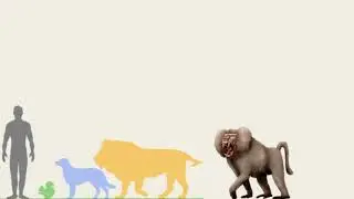 Dinopithecus ingens vs Lion, Human, Dog and Squirrel in Size Comparison