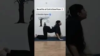 Benefits of Cat Cow Pose 🐮#shortsfeed #shorts #yogapostures