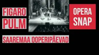 Marriage of Figaro - Saaremaa Opera Festival, Estonia