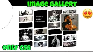 Create responsive image gallery using html css | how to create image gallery in css
