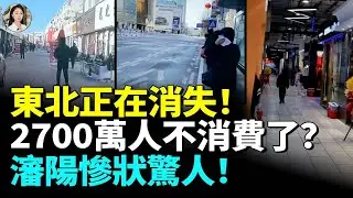 東北正在消失！2700萬人不消費了？瀋陽大蕭條 慘狀驚人！　#看大陸
