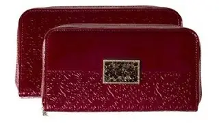 Портмоне большое Elisir P-65-273 Mirella red
