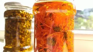 Calendula (and Chamomile) infused Olive oil