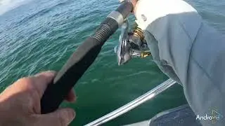 Fishing Frustrations!