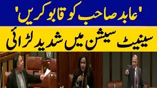 Intense Fight Breaks Out in Senate Session | Dawn News