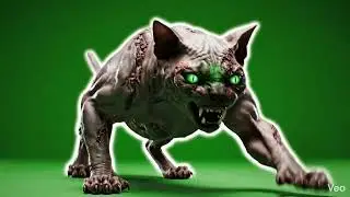 This Scary Cat Will Give You Goosebumps 😨 | Horror Green Screen Cat