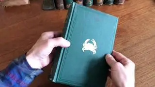 American Naturalist Illustrated Magazine 1868-74 lovely antique 8 vol. set plates