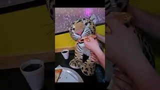 At Giovanni  Pizza time #cute #cuteanimals #leo #food #funny