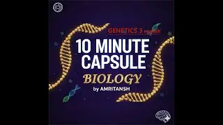 Genetics chapter 3 english