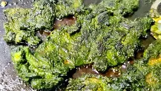 Beef Pasanday Kabab Recipe | Phall Recipe 