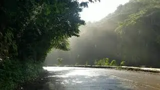 Bogwalk Gorge | Jamaica