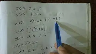 Boolean in Python ||  Class 11 IP & CS CBSE