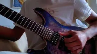 Modern Meat - Animals As Leaders (cover)