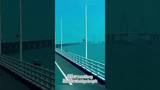 Longest sea-crossing bridge in the world, Hong Kong-Zhuhai-Macao Bridge#china#bridge#fyp