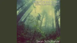Secret of the Forest (From 