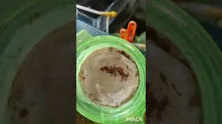 Tank cleaning 🧹🧼 blood worms 🪱🪱👍 like share comment and subscribe &hearts;️