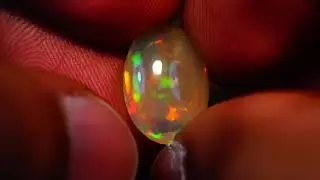 MAH04999
