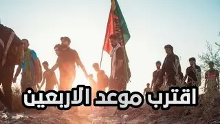 طريق نجف - كربلاء مشاية الأربعين 1446 🏴 كرم اهل العراق !!😭