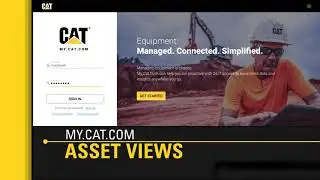 My.Cat.Com - partenerul de incredere