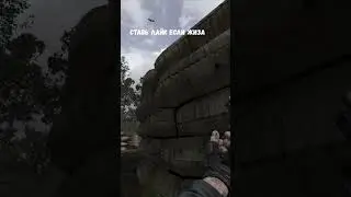 лайк, если жиза #shorts #stalker #games #игры #youtubeshorts #рекомендации #leoncio
