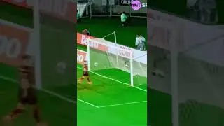 F&aacute;bio 45, de azul&atilde;o, garante a vit&oacute;ria no fla-flu.