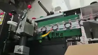 Oil seal automatic packaging