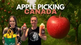 APPLE PICKING IN CANADA: TIPS & WHAT TO EXPECT