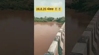 29,8,25 Ghaggar🎚️ #love #live #viralvideo #trending #ghaggar #river #yt #flood @pakkepunjabwale91