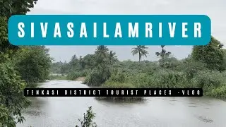 குடும்பத்துடன் ஒரு நாள் சுழல்வோம்: சிவசைலம் ஆறு, தென்காசி|Nature beauty Sivasailam River | Eng-sub
