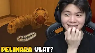 KITA PELIHARA ULAT YANG TERNYATA MAU MAKAN KITA!! | Petsitting (Horror) - Indonesia