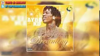Ayoo KD - Young Wild Niggas (Feat. FBG Duck)