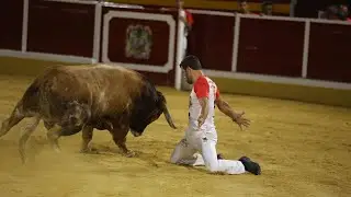 CONCURSO DE RECORTES AÑOVER DE TAJO (TOLEDO) 2024 (Vídeo Completo)