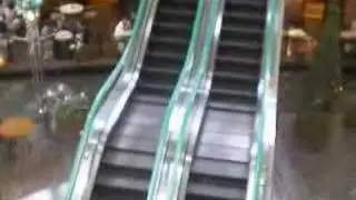 Crazy Escalator