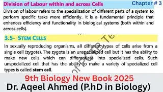 9th biology new book 2025 || Chapter 3|| Division of labour within and across the cell And Stem Cell