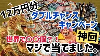【世界で50個】一番くじのダブルチャンスキャンペーンが当たりました。