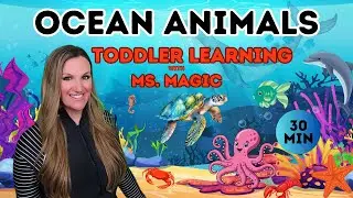 Ocean Animals For Kids | Sea Creatures | Preschool | Toddler Learning | Baby Songs | Sign Language