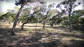 Incredible Home Designed For a Secluded Lot