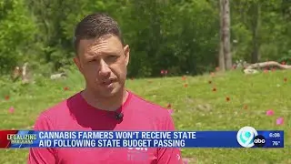 Cannabis farmers won't receive state aid following state budget passing