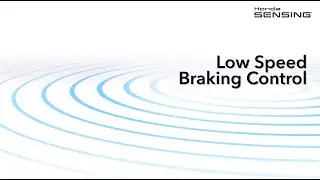 Accord with Honda Sensing® – Low Speed Braking Control