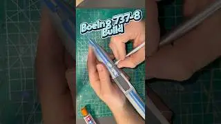 Famous Boeing 737-8 build and paint process #modelairplane #scalemodelbuilding #scalemodel