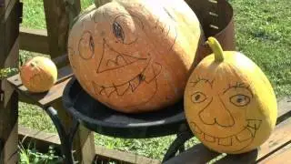 Teo kaj Amo 2017 - Patrino - Verda Stacio