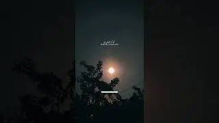 Haal E Dil ❤️🫀Naah keh sake ..tumne toh sun lia 👀🕊️❤️&zwj;🔥 #shorts #merehumsafar #moreyouwant #moon