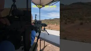 Sig Sauer 556.  .223, 200 Yards.  Accurate.  #shorts