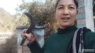 अचानक क्यों जाना पड़ा गाँव 🤔🤔